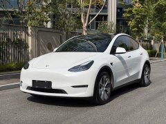 Tesla Model Y Long Range All-Wheel Drive - ფოტო 1