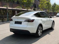 Tesla Model Y Long Range All-Wheel Drive - ფოტო 8