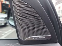 BMW X5 xDrive 40Li M Sport Package - ფოტო 6