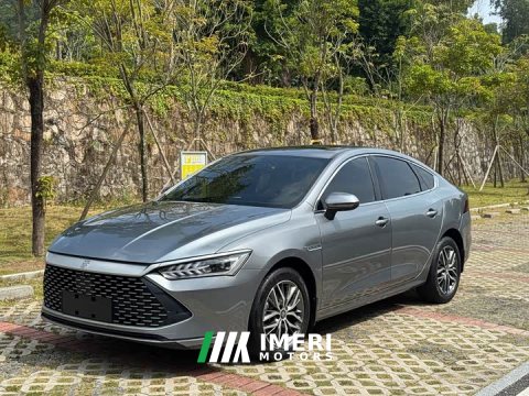 2023 BYD Qin PLUS Champion Edition DM-i 120KM Leading - ავტომობილი ჩინეთიდან