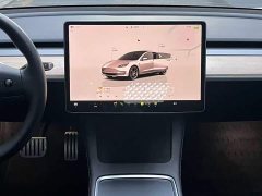 Tesla Model 3 Performance All-Wheel Drive - ფოტო 12