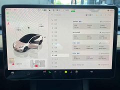 Tesla Model 3 Performance All-Wheel Drive - ფოტო 14