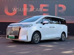 Great Wall WEY Shanshan New Energy 2023 Four-Wheel Drive Flagship Edition - ფოტო 1