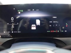 Great Wall WEY Shanshan New Energy 2023 Four-Wheel Drive Flagship Edition - ფოტო 13