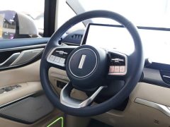 Great Wall WEY Shanshan New Energy 2023 Four-Wheel Drive Flagship Edition - ფოტო 9