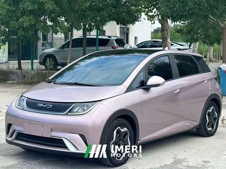 BYD Dolphin 420km Fashion Edition - ავტომობილი ჩინეთიდან