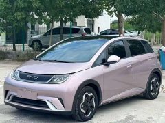 BYD Dolphin 420km Fashion Edition - ფოტო 1