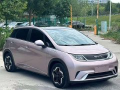 BYD Dolphin 420km Fashion Edition - ფოტო 2