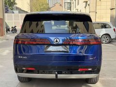 Denza N9 Premium Edition - ფოტო 11