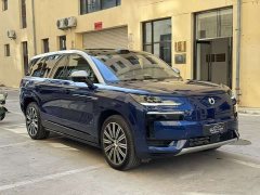 Denza N9 Premium Edition - ფოტო 18