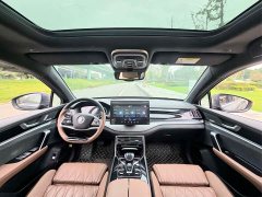 BYD Tang New Energy 2021 DM-i 112KM Premium Edition - ფოტო 8
