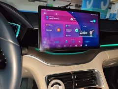 BYD Song Plus New Energy 2021 DM-i 110KM Flagship Plus - ფოტო 9