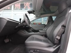 Tesla Model 3 Rear-Wheel Drive - ფოტო 19