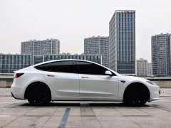 Tesla Model 3 Rear-Wheel Drive - ფოტო 8