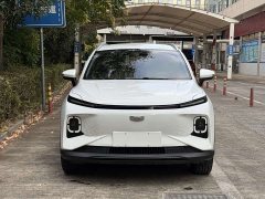 Geely Geometry E Firefly 301km Starlight - ფოტო 2