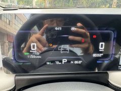 Geely Geometry E Firefly 301km Starlight - ფოტო 6
