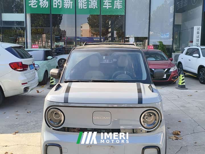 Geely Panda 210km Panda Kart