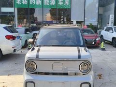 Geely Panda 210km Panda Kart - ფოტო 1