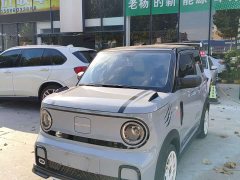 Geely Panda 210km Panda Kart - ფოტო 2