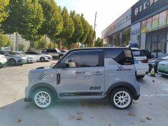 Geely Panda 210km Panda Kart - ფოტო 6