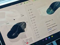 Tesla Model 3 Rear-Wheel Drive - ფოტო 6