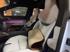 HiPhi Z Four-Seater - ფოტო 9