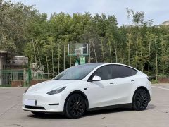 Tesla Model Y Performance All-Wheel Drive - ფოტო 1