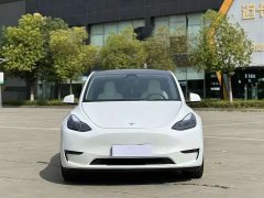 Tesla Model Y Performance All-Wheel Drive - ფოტო 2