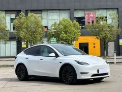 Tesla Model Y Performance All-Wheel Drive - ფოტო 3
