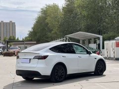 Tesla Model Y Performance All-Wheel Drive - ფოტო 7