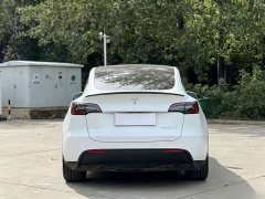 Tesla Model Y Performance All-Wheel Drive - ფოტო 8
