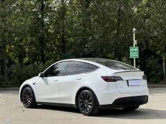 Tesla Model Y Performance All-Wheel Drive - ფოტო 9