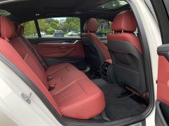 BMW 5 Series 530Li Premier M Sport Package - ფოტო 12