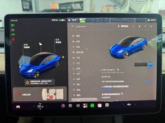 Tesla Model 3 Facelift Standard Range RWD Upgrade 3D1 - ფოტო 13