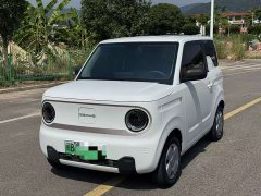 Geely Panda Mini 200km Endurance Edition - ფოტო 1