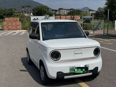 Geely Panda Mini 200km Endurance Edition - ფოტო 3