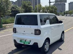 Geely Panda Mini 200km Endurance Edition - ფოტო 7