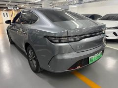 BYD Destroyer 05 Glory Edition DM-i 55KM Luxury - ფოტო 3
