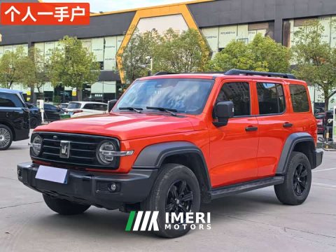 2024 Tank 300 2.0T Challenger - ავტომობილი ჩინეთიდან