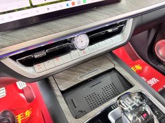 Tank 500 New Energy 2024 Hi4-T - ფოტო 20