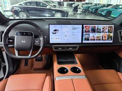 Li Auto L6 Pro - ფოტო 10
