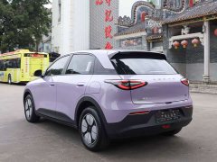 Geely Star Wish 310km Youth Edition - ფოტო 10