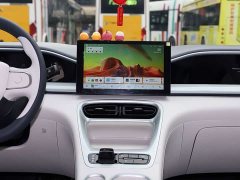 Geely Star Wish 310km Youth Edition - ფოტო 17