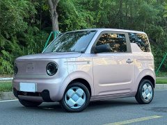Geely Panda Mini 200km Endurance Edition - ფოტო 1