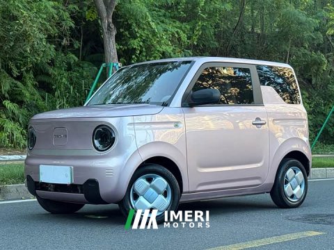 2023 Geely Panda Mini 200km Endurance Edition - ავტომობილი ჩინეთიდან