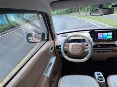 Geely Panda Mini 200km Endurance Edition - ფოტო 12
