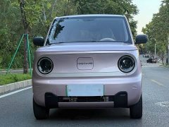 Geely Panda Mini 200km Endurance Edition - ფოტო 2