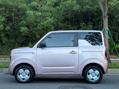 Geely Panda Mini 200km Endurance Edition - ფოტო 3