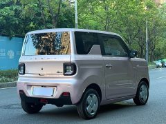 Geely Panda Mini 200km Endurance Edition - ფოტო 5