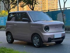 Geely Panda Mini 200km Endurance Edition - ფოტო 6